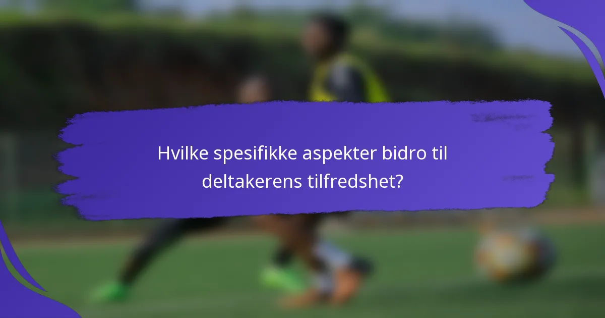 Hvilke spesifikke aspekter bidro til deltakerens tilfredshet?