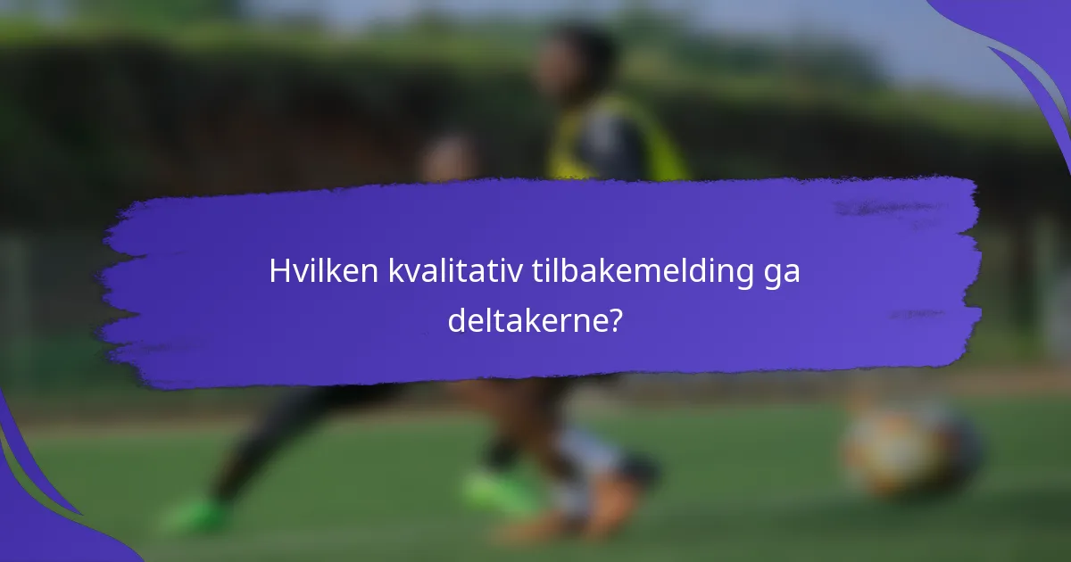 Hvilken kvalitativ tilbakemelding ga deltakerne?